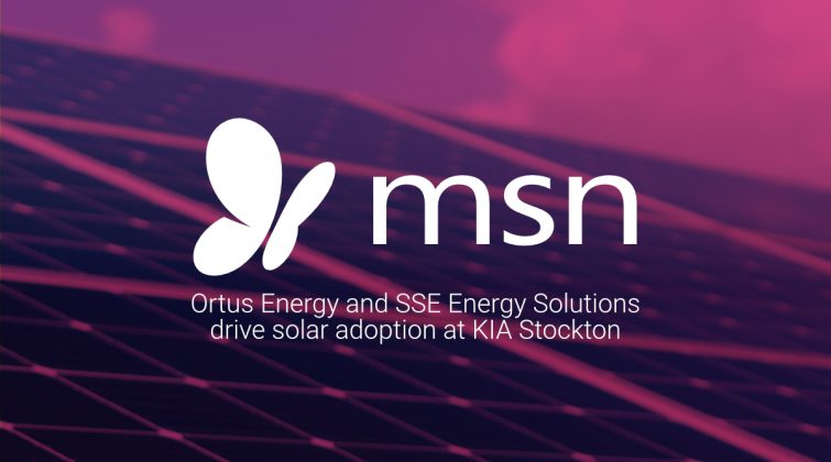MSN News