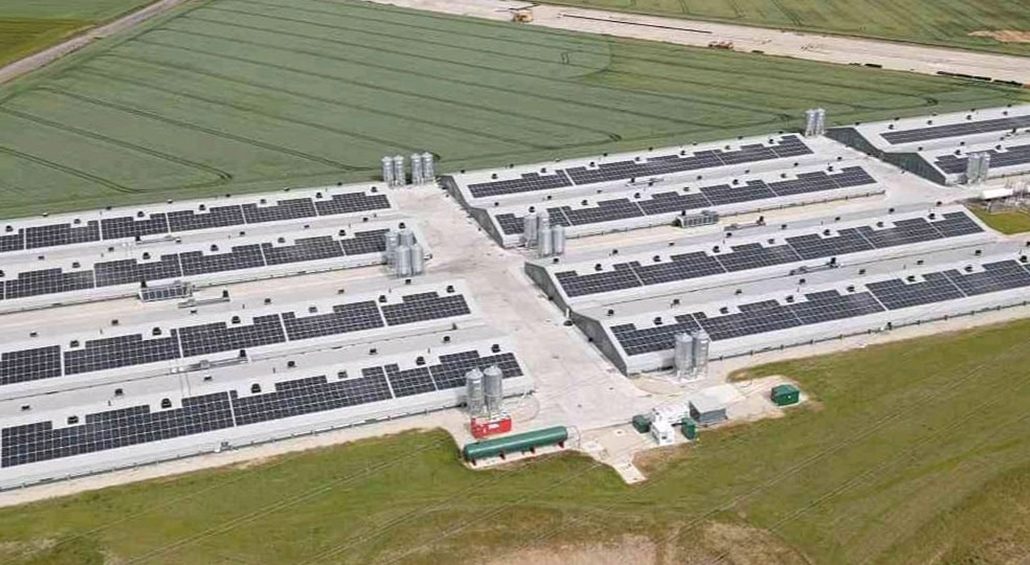 Aerial view of a large rooftop solar project on agricultural buildings, showcasing sustainable energy solutions implemented by Ortus Energy for Amber - Hook Two Sisters. The image highlights the integration of solar panels into the agricultural landscape, emphasizing renewable energy's role in modern farming practices.